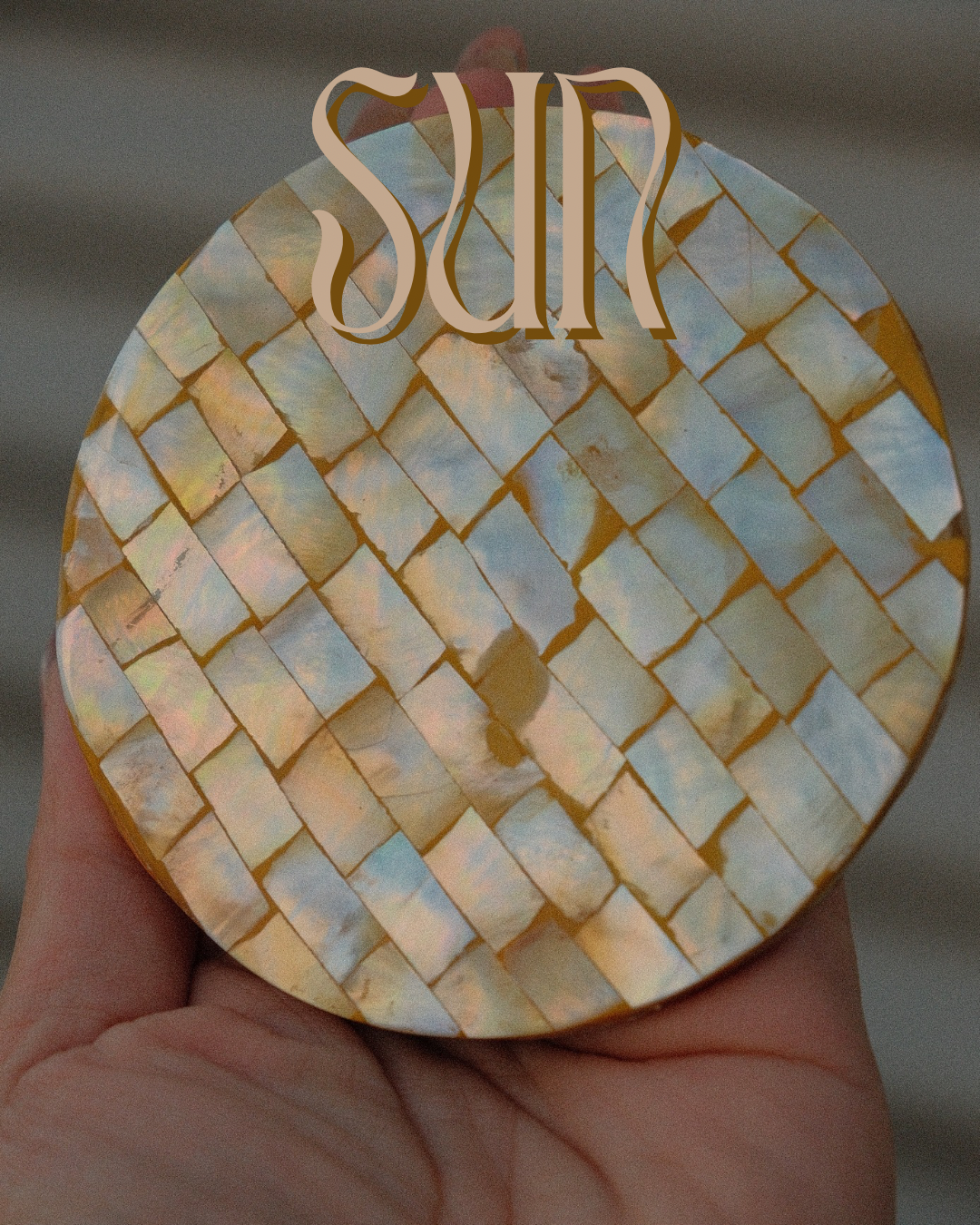 Abalone Shell Coasters