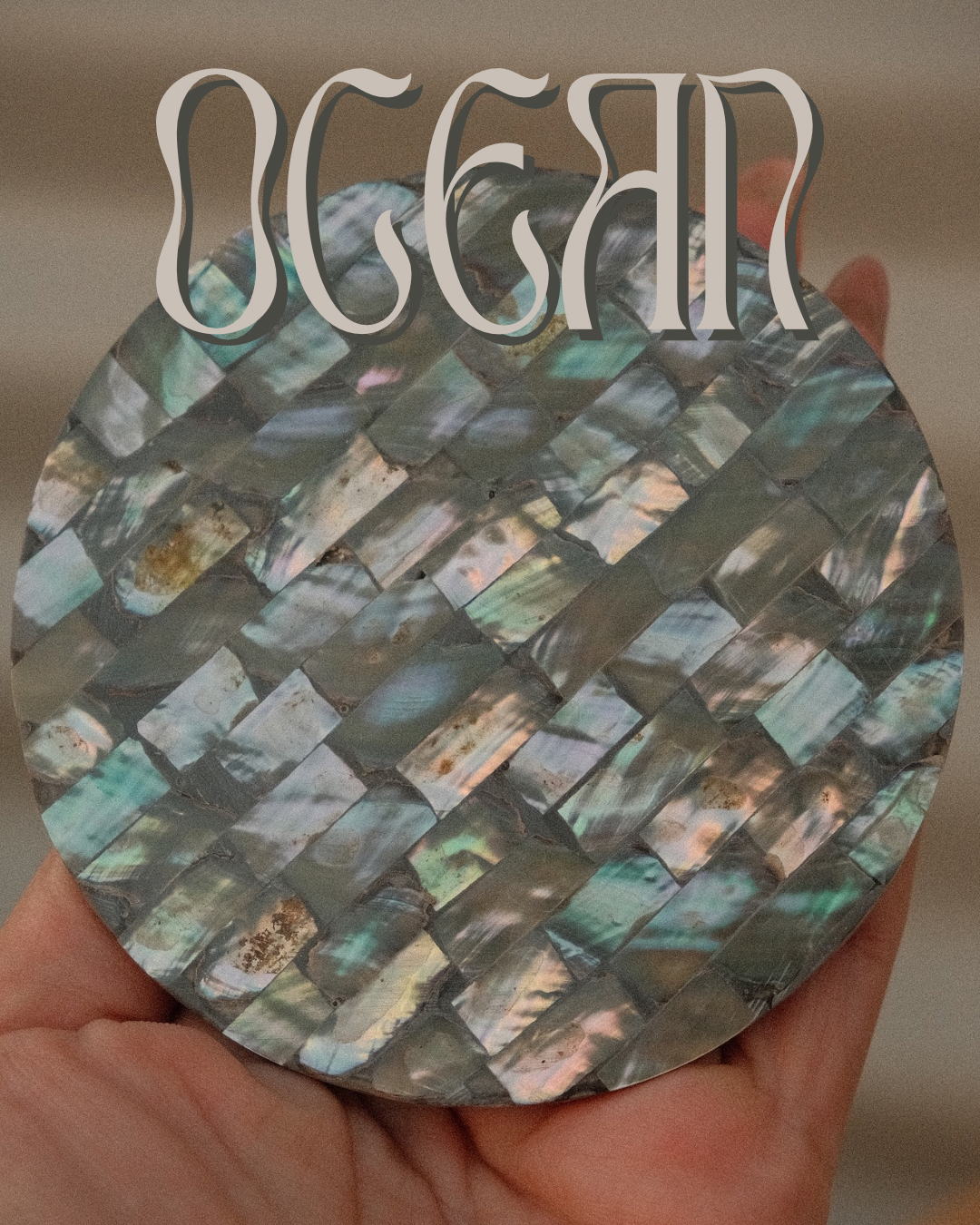 Abalone Shell Coasters